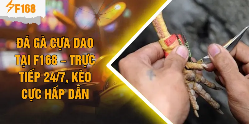 Đá Gà Cựa Dao Tại F168 – Trực Tiếp 24/7, Kèo Cực Hấp Dẫn