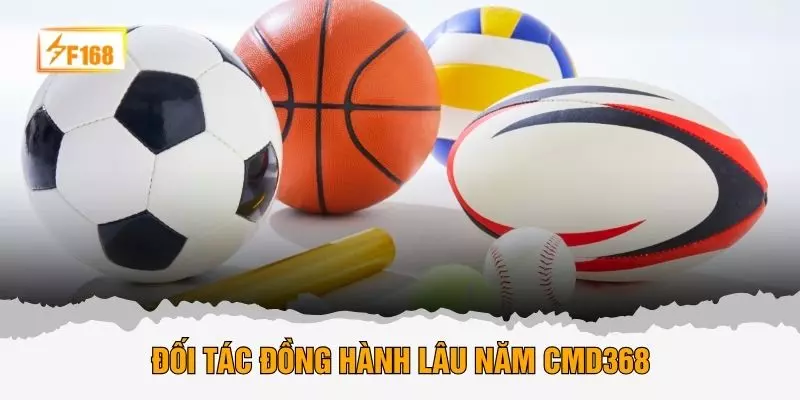 Đối tác đồng hành lâu năm CMD368